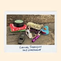 Adeem The Artist - Survival Strategies Vol 1: Enmeshment