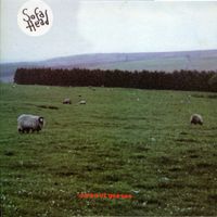 Sofa Head - Acres Of Geeses
