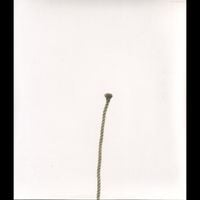 Clammbon - imagination