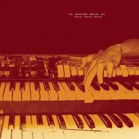 The American Analog Set - Destroy Destroy Destroy