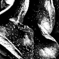 Kriss - Final Winter