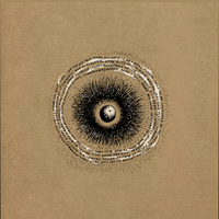 Swans - One True Mind