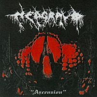 Nedgravd - Ascension