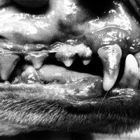 Viuta - Face Made of Sand