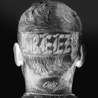 Chris Brown - BREEZY - It's Giving Christmas