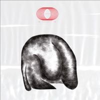 Zaliva-D - 好奇 Curiosity