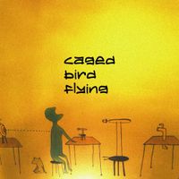 Takuya Nakamura - Caged Bird Flying