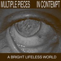 In Contempt - A Bright Lifeless World