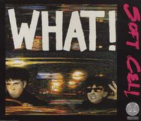 Soft Cell - What!