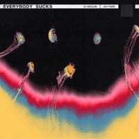 DJ Wegun - Everybody Sucks