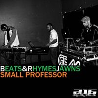 Small Professor - Beats & Rhymes Jawns