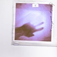 Blimp - Saccharine