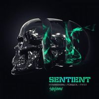 NumberNin6 - Sentient