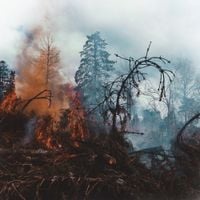 Grieved - Grieved