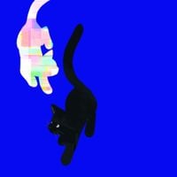 deer in headlights - Beyond horizon