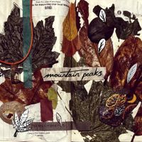 Mountain Peaks - What Could Have Been (i Could Have Been More)