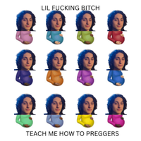 Lil Fucking Bitch - Teach Me How To Preggers