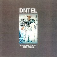 Dntel - Something Always Goes Wrong