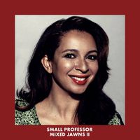 Small Professor - Mixed Jawns II