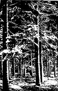 A&auml;kon K&euml;&euml;tr&euml;h - The Dark Winter