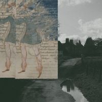 rowan - Petrify
