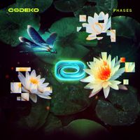Codeko - Phases