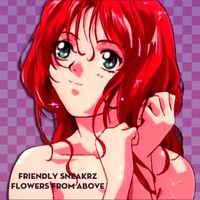 Friendly Sneakrz - Flowers From Above