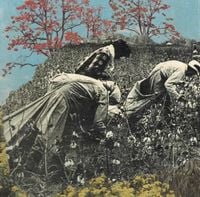 Babidi - S&oacute; Colhe Quem Planta