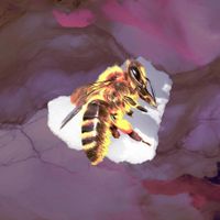 PersonFromBrazil - Birds and Bees