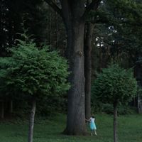 Нелюдимка - Вечно зелёные аллеи