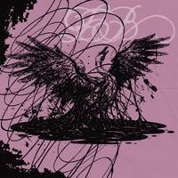 laurie bird - mistake them for flying swans