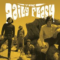 The Daily Flash - The Legendary Recordings 1965-1967