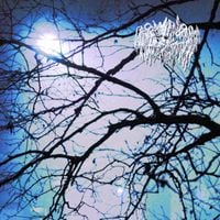 Download History - Download History