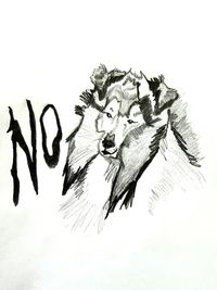 Nelly Olsen - NO