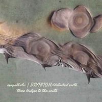 Sympathetic Division - Three Bridges to the South