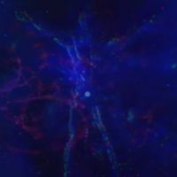Teph Co. 愛 - ⋆｡𖦹&deg;⭒˚｡𝕄𝓔T&forall;𝓶ⓞᖇ𝐩𝐇&Oslash;s𝕚𝓢｡𖦹&deg;⭒˚｡⋆