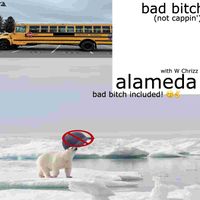 alameda - bad bitch (not cappin')