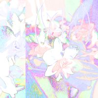 NKИ - ⋆ NKИ ⋆