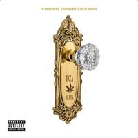 Smoke DZA - Trees Open Doors