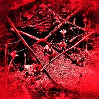 TJ08 - RED
