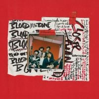 The Amazons - Blood On The Bone