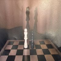 Coals - fanga