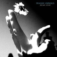 Fragile Animals - Dead Stop