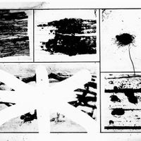 Preslav Literary School - Mycelium