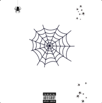 Franse - Cobwebs