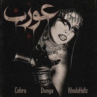 Aurat - Cobra