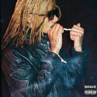 Southsidesilhouette - Brave