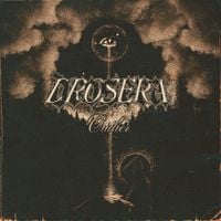 Drosera - Outlier