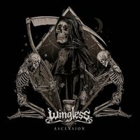 Wingless - Acension