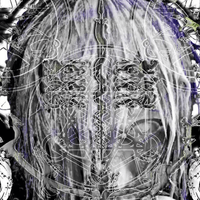 one2nine3 - veil